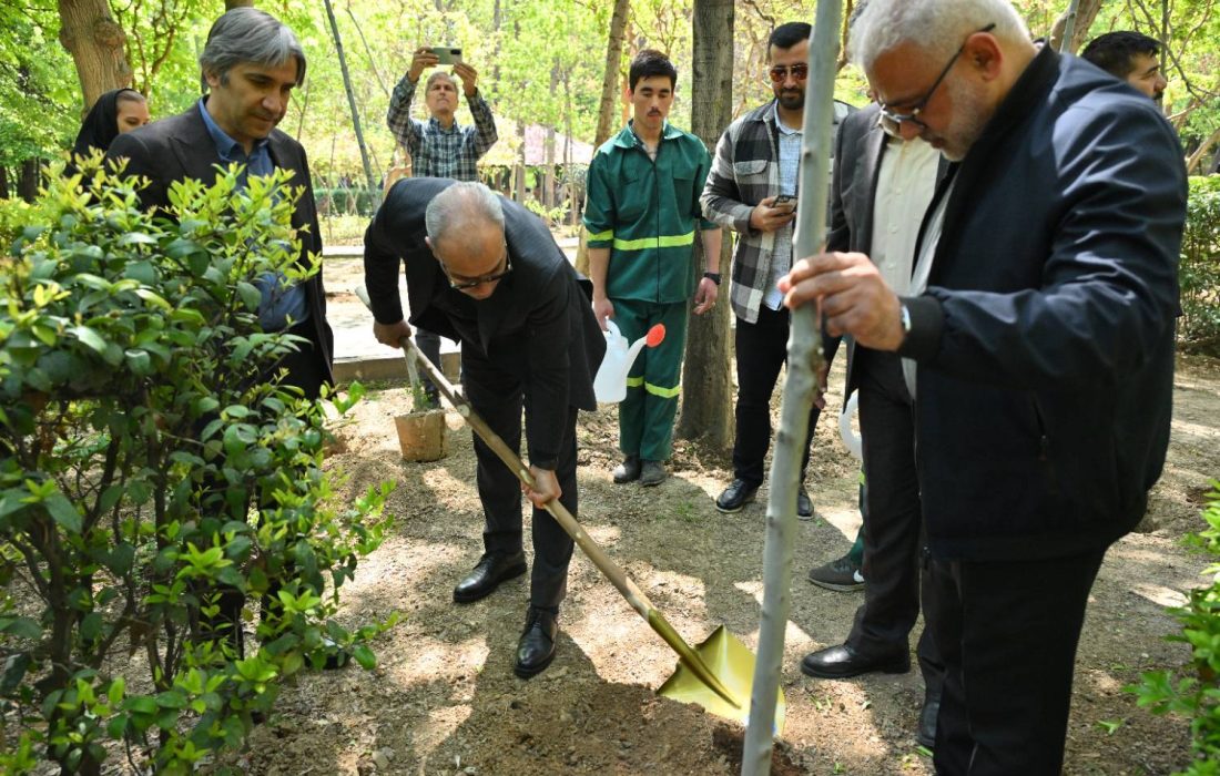 بوستان قیطریه میزبان نهال های تازه در روز تولد امام شهید بود