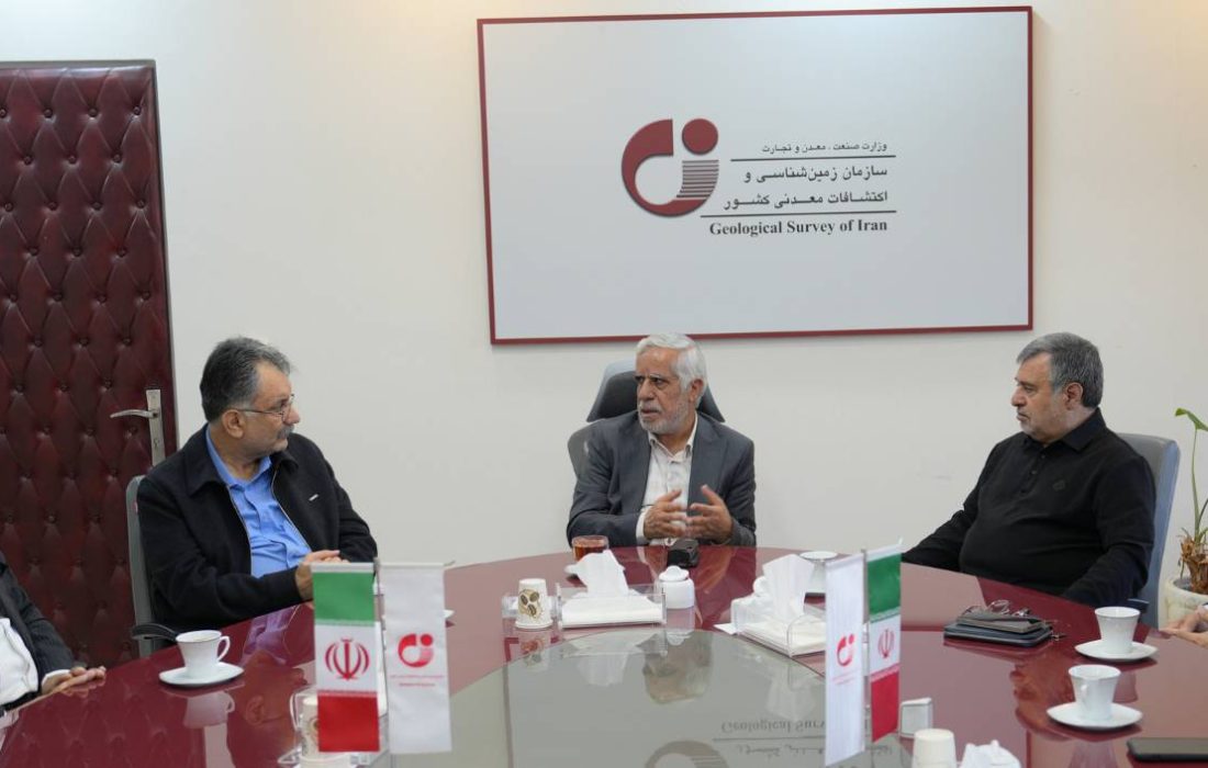 دیدار نمایندگان مجلس شورای اسلامی با معاون وزیر صمت و رئیس سازمان زمین‌شناسی و اکتشافات معدنی