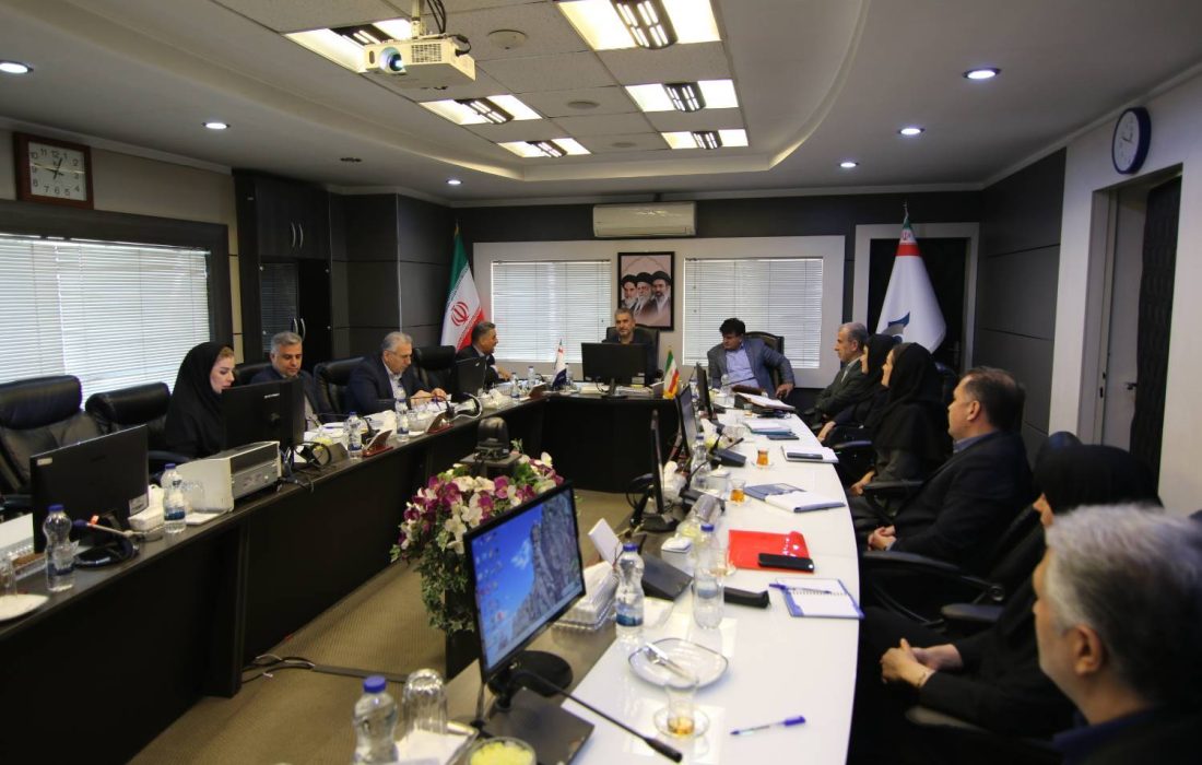 تأکید سرپرست مدیریت عامل بانک سرمایه بر استفاده حداکثری از ابزارهای تعهدی