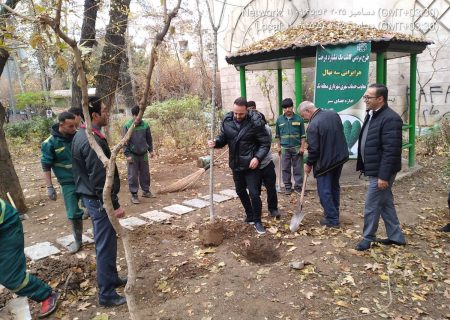 کاشت ۱۴۵۰ اصله نهال در منطقه یک؛ گامی عملی در مسیر طرح ملی یک میلیارد درخت