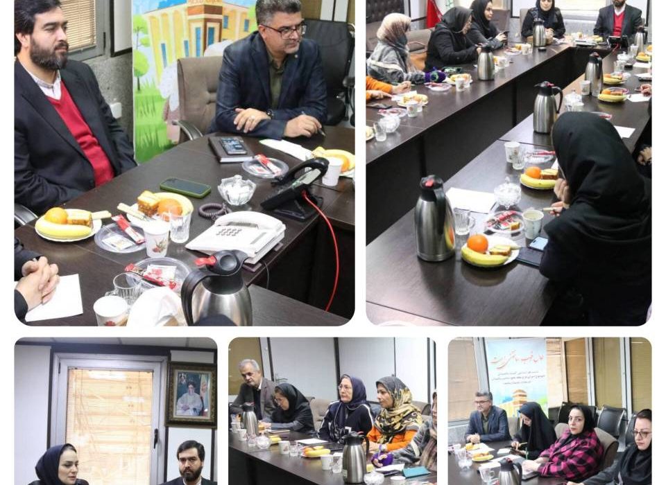 برگزاری نشست هم اندیشی کمیته سلامت سالمندان در منطقه۹