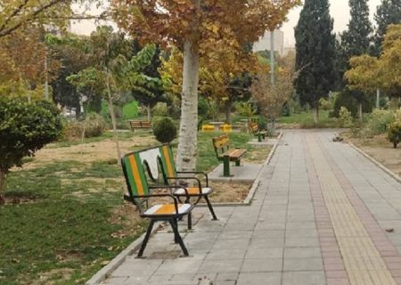 دلاوران بوستان دوستدار معلولین شد