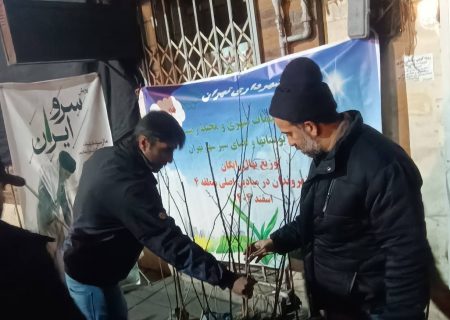 توزیع شبانه نهال در میادین و مقابل مساجد منطقه ۴ / برنامه های استقبال از بهار در زمان جنگ نیز طبق روال همیشه اجرا می شود