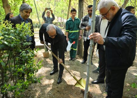 بوستان قیطریه میزبان نهال های تازه در روز تولد امام شهید بود