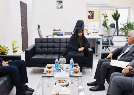 پیگیری عملیاتی ایجاد ژئوپارک و پتانسیل‌یابی ذخایر معدنی در شهرستان نائین