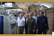 تقدیر از نقش بانک صنعت و معدن در حفظ اشتغال و تأکید بر هدایت منابع پتروشیمی‌ها در استان بوشهر