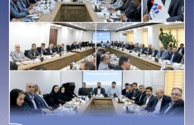 تأکید بر برنامه‌محوری و تقویت انسجام سازمانی