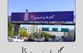 کمپین «گاو ما رو ندیدین؟» از تهران آغاز شد؛ «اکران تیزینگ پگاه» در مسیر توسعه به شهرهای کشور