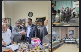 بررسی طرح‌های سرمایه‌گذاری در مجتمع صنایع آلومینیوم هزار