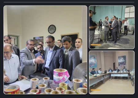 بررسی طرح‌های سرمایه‌گذاری در مجتمع صنایع آلومینیوم هزار