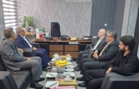 تأکید بر شناسایی ظرفیت‌های معدنی فارس در نشست مدیرکل زمین‌شناسی جنوب کشور با نمایندگان مجلس